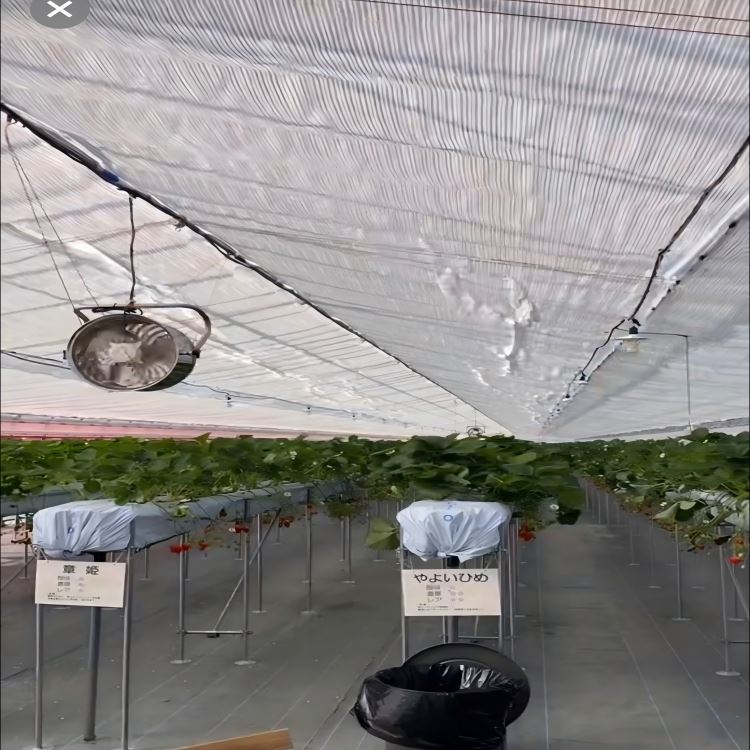 info-1-1 Automatic Greenhouse Shading System
