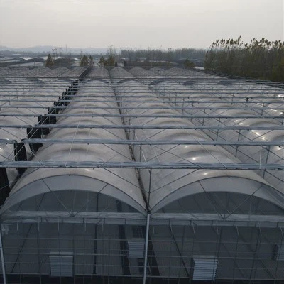 Maza plastmasas plēves siltumnīca